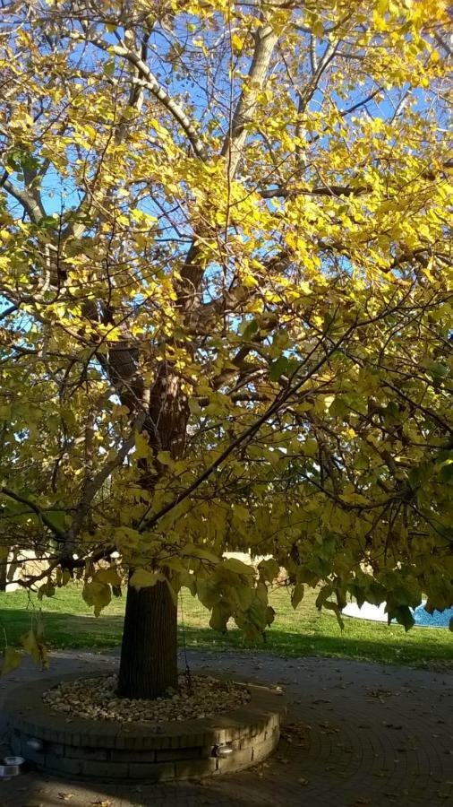مبيت وإفطار تشيرفيتيري Casale Del Tiglio المظهر الخارجي الصورة